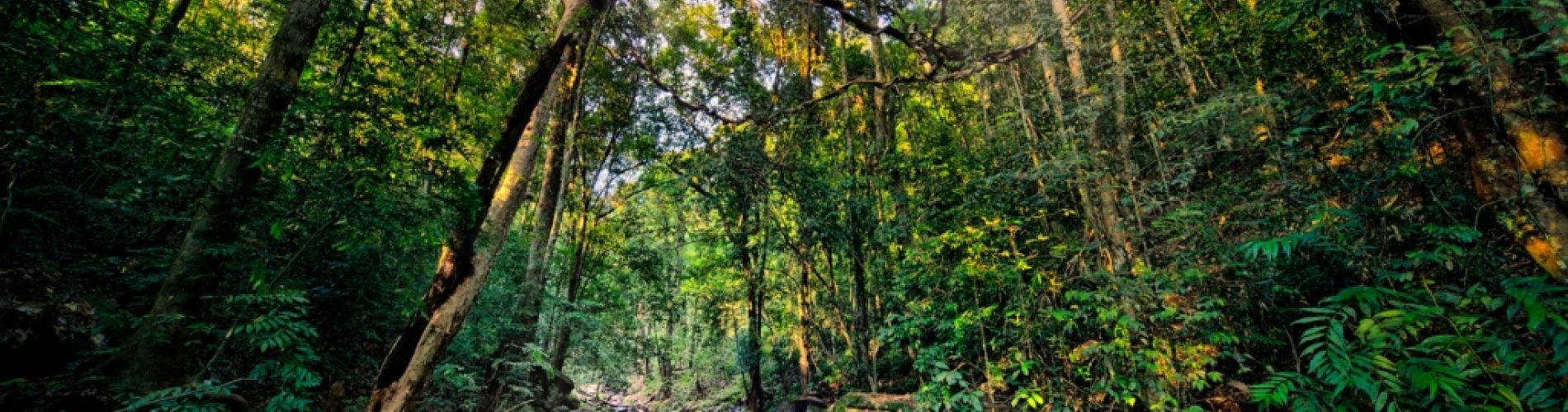 Autumn landscape around Pension Kaminek