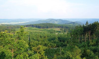 Mandelstein a Nebelstein